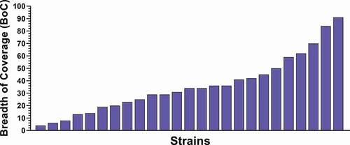 Figure 5. Strain-specific Breadth of Coverage obtained with the MenABCWY vaccine. Strain-specific BoC, calculated as (1 – relative risk) × 100 (relative risk = ratio between the percentage of samples seronegative at 1:4 dilution against the selected strains in the MenABCWY vs Control group), was determined for each of the 25 strains (not predicted to be covered by gMATS) out of 110 as measured by serum bactericidal activity. Figure realized from data described in Welsch et al. [Citation32].