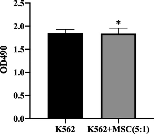 Figure 2. Influence of BM-MSCs on K562. Data are presented as mean ± SEM and analyzed by one-way ANOVA.
