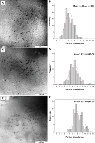 Figure 5 TEM images and corresponding particle size distribution of Ag/MMT NCs at different AgNO3 concentrations: 1.0% (A, B), 2.0% (C, D), and 5.0% (E, F).