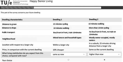 Figure 1. Print screen of a choice set.