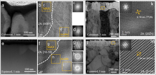 Figure 4. STEM-HAADF images (Titan) of the columnar (a) and equiaxed (e) grained samples upon oxidation at 1100°C for 1 min. (b) HRTEM image of the columnar grained sample taken from the [0001] direction. (c-d) Corresponding FFT images in the dashed boxes as indicated in (b). (f) HRTEM image of the equiaxed grained sample taken from the [10-10] direction. (g-i) FFT images inside the boxes as indicated in (f). The dashed line outlines the interface between the MAX phase and the oxide scale. TEM images of the columnar (j) and equiaxed (l) grained samples upon oxidation at 1100°C for 5 min. HRTEM and corresponding FFT images in the oxide scale of the columnar (k) and equiaxed (m) samples.