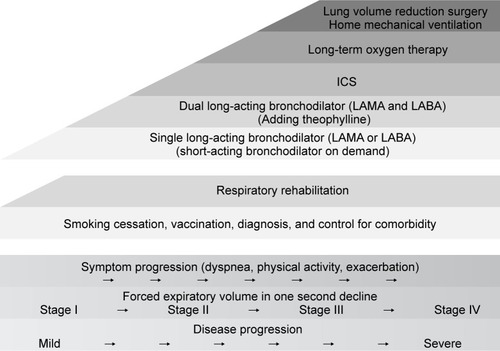 Figure 2 Stepwise approach recommended by the fourth edition of Japanese Respiratory Society COPD guidelines.