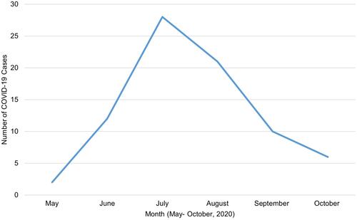 Figure 3 Distribution of COVID-19 cases by month (May–October 2020).