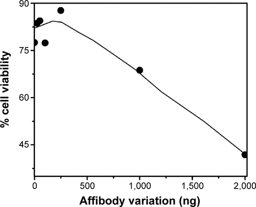 Figure S2 Cell viability of SK-OV-3 cells was tested in the presence of ADPN prepared with various amounts of Affibody.Abbreviations: PS, 5,10,15,20-tetrakis (4-hydroxyphenyl)-21H,23H-porphine; PAMAM, poly(amidoamine); DPN, PAMAM-(PS)-Ni-NTA; ADPN, DPN with affinity.