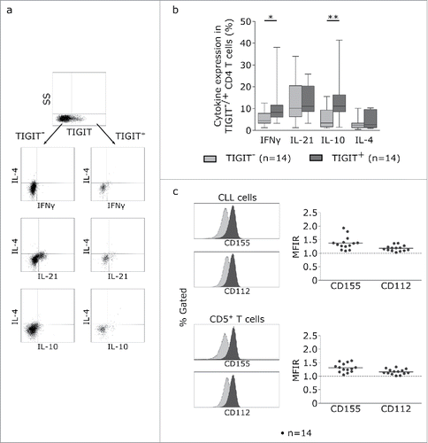 Figure 5. TIGIT+ cells display a distinct cytokine profile. (a) Representative dot plots showing intracellular cytokine production after cultivating CLL PBMCs for 24 h with CD3/CD28 activating beads. (b) Cytokine production of TIGIT- or TIGIT+CD4+ T cells in 14 samples. (c) Mean fluorescence intensity ratio (MFIR) of CD155 and CD112 on CD5+CD19+ CLL (top) or CD5+ T cells (bottom). The histograms show representative FACS plots of CLL cells (gated for CD5+CD19+cells) and T cells (CD5+ cells) stained with isotype controls (in gray) and CD112/CD155 specific antibodies (in black). The dot plots show results from n = 14 samples.