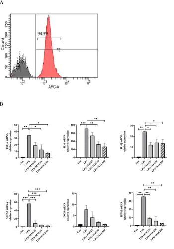 Figure 7 Continued.