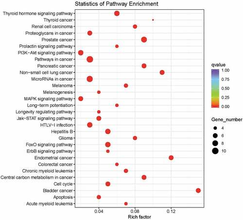 Figure 3. KEGG gene enrichment analysis showed that these mutated genes are highly correlated with 30 physiological and pathological pathways.