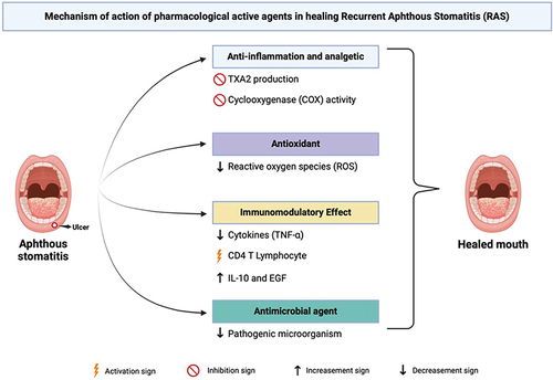 Figure 2 Mechanism of action for pharmacological active agents in RAS therapy. Created with Biorender.com.