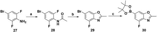 Scheme 5. Synthesis of the intermediate 30. Reagents and conditions: (a) Ac2O, AcOH, r.t., 5 h; (b) Cs2CO3, NMP, 150 °C, 10 h; and (c) Bis(pinacolato)diboron, Pd(dppf)Cl2, KOAc, 1,4-dioxane, 100 °C, 10 h.