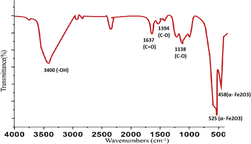 Figure 5. FTIR spectrum of prepared Fe2O3 NPs.