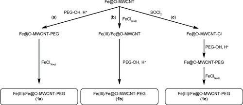 Figure 2 Three different approaches to synthesize Fe(III)/Fe@O-MWCNT-PEG (1a–1c).Abbreviations: Fe@MWCNTs, iron-filled multiwall carbon nanotubes; Fe@O-MWCNT, oxidized Fe@MWCNT; FeCl3, ferric chloride; PEG, polyethylene glycol; PEG-OH, hydroxyl PEG; SOCl2, thionyl chloride.