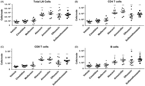 Figure 1. (A) Absolute total cell counts, as well as (B–D) Total CD4+ and CD8+ T-cells and B-cells from brachial LN of mice treated with vehicle, cimetidine, metformin, abacavir, amoxicillin, ofloxacin, or sulfamethoxazole (SMX). **p < 0.01 or ***p < 0.001; n = 10. Data were combined from two independent experiments with five mice/group/experiment. Each point represents one individual value. All data are expressed as mean ± SEM.