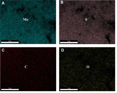 Figure 5 Elemental mapping images of PAA-MoS2 composites: (A) Mo element, (B) S element, (C) C element and (D) O element.