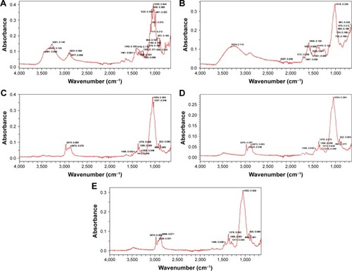 Figure 5 FTIR spectra explaining the physicochemical compatibility of TCM (A) and FTIR spectra of XG (B), EC (C), ECT2 (D) and XECT2 (E).Abbreviations: FTIR, Fourier-transform infrared spectroscopy; TCM, tacrolimus; XG, xanthan gum; EC, ethyl cellulose.