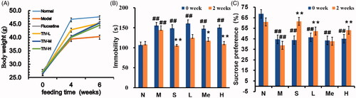 Figure 1. Behavioural evaluation of TIV-treated CUMS mice and controls. (A) Changes in body weight. (B) Immobility time in TST for CUMS mice with TIV treatment. (C) Sucrose preference in SPT for CUMS mice with TIV treatment. Data are reported as mean ± SD. # p < 0.05 and ## p < 0.01 vs. the normal group. *p < 0.05 and **p < 0.01 vs. the model group. N: normal; M: model; S: fluoxetine; L: TIV-L; Me: TIV-M; H: TIV-H.