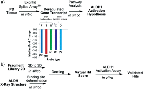 Figure 2.  Generic workflow from PD tissue to the discovery of small molecule modulators of ALDH1. (a) Expression profiling of PD tissues using the Genome-Wide SpliceArray™ led to identification of ALDH1A1 down-regulation together with published literature and pathway analysis formed the basis for the ALDH1 activation hypothesis. Values in parenthesis represent the number of each probe type monitoring the gene transcript deregulation. For the letter code definition of each probe type see supplementary material. (b) Virtual screening workflow from structure to hits. A hit from the virtual screening was validated as an activator in vitro and could serve as starting point for hit to lead medicinal chemistry optimization program.