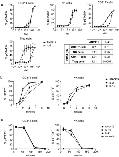 Figure 4. ANV419 shows selectivity for human CD8+ T cells and NK cells and induces STAT5 phosphorylation at a comparable magnitude and kinetics as recombinant IL-2 and IL-15. (a) PBMCs were stimulated with ANV419 or IL-2 and after 15 min STAT5 phosphorylation was assessed by flow cytometry in CD8+ T cells, NK cells, CD4+ T cells and Tregs. n = 4 donors; mean ± SEM is shown. EC50 values calculated with non-linear regression (curve fit, sigmoidal, 4PL). (b–c) PBMCs from 3 donors were stimulated with 10 nM ANV419, IL-2, IL-15 or left untreated, and STAT5 phosphorylation was measured at the indicated time points in CD8+ T cells and NK cells. B depicts the time course up to 16 min; C depicts the time course from 15 min up to 24 h. NK, natural killer; PBMCs, peripheral blood mononuclear cells. Mean ± SEM is shown.