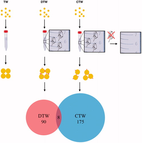 Figure 6. Au nanoparticles were incubated under three conditions TW (tap water), DTW (tap water containing Daphnia) and CTW (conditioned tap water in which Daphnia had filtered the water during 24 h prior to being removed). The water was then analyzed with DLS, DSC, absorbance spectroscopy and TEM. In TW the particles aggregate. In DTW and CTW proteins and other biomolecules present bind to the particles affecting the size of the aggregates. As shown in the Venn diagram, the overlap in the number of identified proteins (n = 8) is very low compared to the overall number of proteins present in DTW (red, n = 90) vs. CTW (blue, n = 175).