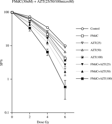 Figure 1.  Dose reponse curve of WiDr cell line irradiated in vitro; upper curves illustrating the effect of AZT alone; lower curves FMdC (30 nM/48 h) alone versus the combination with the various concentrations of AZT. The data are plotted with corresponding standard error (often contained within the size of the symbols used).