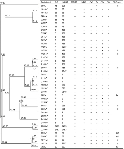 Figure 1 Clonal dendrogram and detailed information of Staphylococcus aureus for mother–neonate pairs in Shenzhen, 2015.