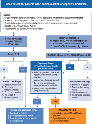 Figure 2 Post-stroke mood assessment pathway for patients with communication or cognitive difficulties (Adapted with permission from Kneebone et al., Citation2012)