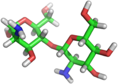 Figure S6 Three dimensional (3D) structure of chitosan oligosaccharide.