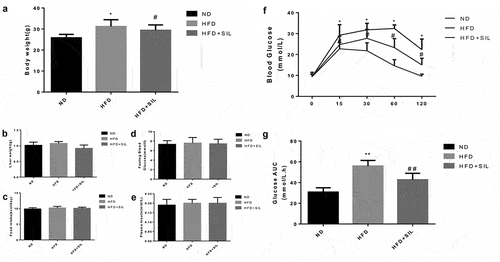 Figure 1. Comparison of body weight (a), liver weight (b), food intake (c), fasting blood glucose (d), fasting insulin (e), IPGTT (f) and AUC (g) of mice in each group.