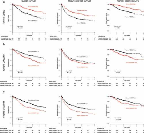 Figure 2. Survival analysis according to CD200 or CD200R1 expression in patients with non-small cell lung cancer (NSCLC)