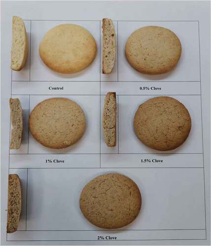 Figure 2. Photograph of cookies.