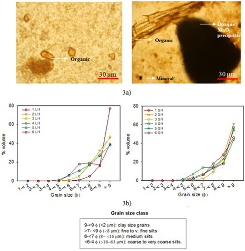 Figure 3. (a) Example microphotographs of representative dust samples. (b) Particle size distributions, by volume, of collected dust samples. Grain size is shown in φ to emphasize the importance of the finer grain sizes in the distribution, where φ = -log2 mm of the grain diameter, i.e., 8–9 φ = 4-2 µm, >9 φ = <2 µm.