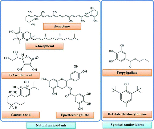 FIG. 1 Chemical structure of synthetic and natural plant-derived antioxidants. Note that the hydroxyl groups in the ortho-position at C11 and C12 of the carnosic acid molecule provide high antioxidant properties (color figure available online).