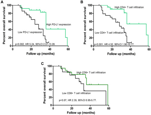 Figure 2 Survival analysis of patients with HNSCC. (A) Survival analysis of patients with high and low levels of PD-L1 expression. (B) Survival analysis of patients with high and low CD4+ T cell infiltration. (C) Survival analysis of patients with high and low CD8+ T cell infiltration.