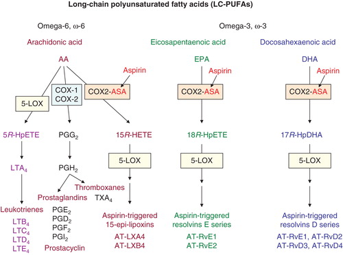 Figure 1. Aspirin and major metabolic pathways involved in the generation of biologically active mediators from long-chain polyunsaturated fatty acids: ω-6 AA, ω-3 EPA and ω-3 DHA. Aspirin (ASA) by acetylating (COX1, COX2) blocks COX-dependent generation of proinflammatory prostaglandins and platelet-aggregating thromboxanes; simultaneously, acetylated COX-2 (COX2-ASA) activates new biochemical pathways leading to the formation of AT anti-inflammatory pro-resolving mediators: AA → lipoxins, EPA → E-resolvins, DHA → D-resolvins. For other explanations see text.