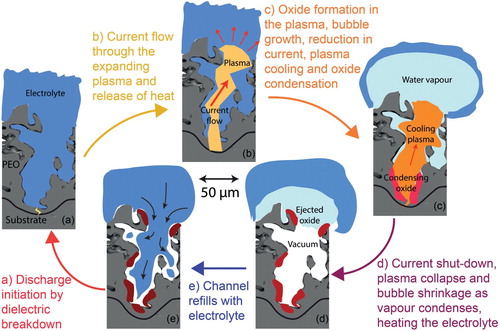 Figure 18. Sequence of schematic sections through a pore during the cycle of a single discharge event in a PEO cascade.