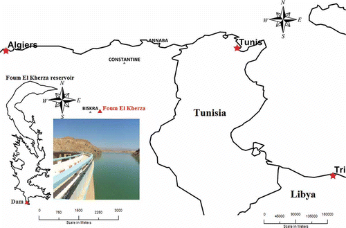 Fig. 1 Foum El Kherza dam location map.