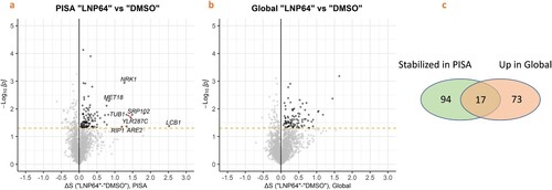 Figure 2. Volcano plots indicating “stabilized” (from PISA) and “up” regulated proteins (global proteomics) by LNP treatment compared to DMSO treatment. a) Corresponding volcano plot (ΔSm, p) of the PISA experiments for LNP-treated (64 µg/mL) vs. DMSO-treated C. auris AR0390 cells demonstrating the strong positive outliers (potential protein targets). b) Corresponding volcano plot (ΔSm, p) of the Global experiments for LNP-treated (64 µg/mL) vs. DMSO-treated C. auris AR0390 cells showing proteins increased in abundance in the Global experiment (Up in Global). Results are presented from triplicate experiments; black dots represent the proteins stabilized in the PISA Experiment, and the dotted line identifies the statistical significance (p < 0.05). c) Summary of the total number of proteins stabilized in PISA or up in the Global proteomic analysis. (All the protein IDs and relevant details can be visualized in the supplementary spreadsheet (Excel spreadsheet_S1).