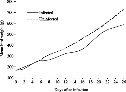 Figure 2. Growth curves, from 20 days of age, of healthy uninfected birds and birds infected on day 0 with blood-induced P. gallinaceum (experiment 428).