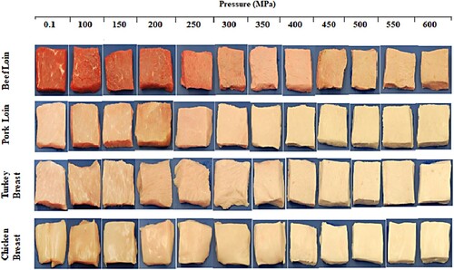 Figure 5. Colour variations of different type of meats under high pressure processing at different pressure (0–600 MPa) for 5 min at room temperature (20°C) (Bak et al., Citation2019).