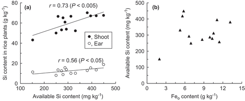 Figure 2. Relationships between (a) soil available Si content and Si concentration in rice plants (a) or (b) Feo content in soil.