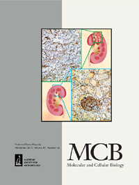Cover image for Molecular and Cellular Biology, Volume 37, Issue 22, 2017