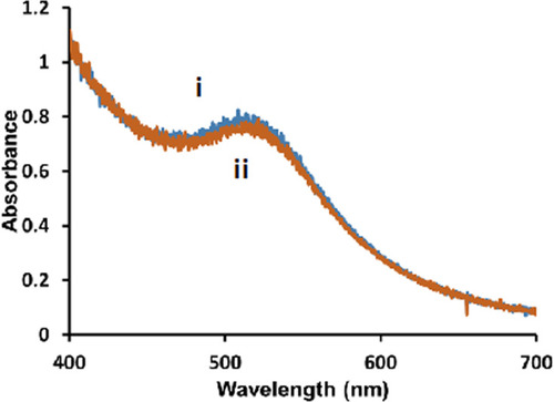 Figure 1 Representative UV-Vis spectra of 5 nm diameter Au-SOA-HPC-HT i) before and ii) after the addition of 6.14 mM KCN for 1 h in H2O.