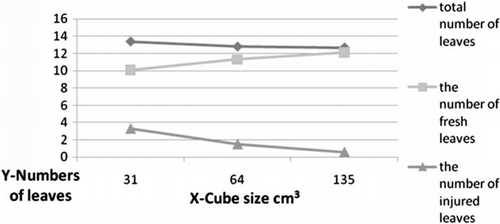 Figure 1.  Total number of leaves, the number of fresh and injured leaves per plant of chervil depending on the sizes of rock wool cubes. Y – Numbers of leaves. X – the size of rock wool cube (4×2.8×2.8 cm = 31 cm3, 4×4×4 cm = 64 cm3, 4×5.8×5.8 cm = 135 cm3); (fresh leaves p=0.015, injured leaves p<0.001).