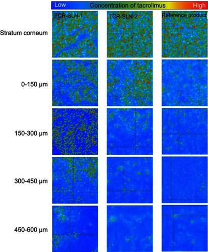 Figure 5 FT-IR imaging of the stratum corneum and skin at different depths after ex vivo skin penetration test at 37 °C using the reference product and TCR-SLNs.