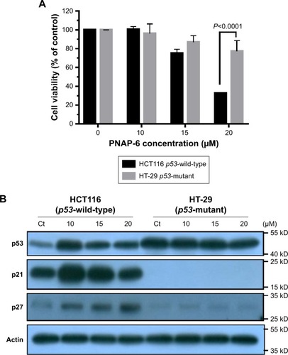 Figure 2 Effect of PNAP-6 on cell viability and apoptosis-related protein expression in HCT116 and HT-29 cells. HCT116 (p53-wild type) and HT-29 (p53-mutant) cells were treated with 10, 15, and 20 μM PNAP-6 for 48 hours.