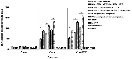 Figure 4. Analysis of IFN-γ secretion in mice immunized by core and coreE1E2 in different formulations at 3 weeks after booster: all assays were performed in triplicate. Error bars indicate mean ± SD detected in pg/ml. Mice immunization with protein-based immunizations and then the DNAs formulated by MPG-induced high HCV-specific cellular immune responses; (*p < 0.05).