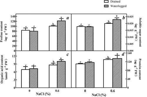 Figure 7. Effects of salinity, waterlogging, and NaCl plus waterlogging co-stress on organic material. (a) Proline content, (b) Soluble sugar content, (c) Organic acids content (d) Protein content. All data are reflective of expanded leaves E. angustifolia seedlings treated for two weeks. Values are means ± SD (n = 5). Mean values with different lowercase letters are significantly different at P ≤ 0.05 according to Duncan′s multiple range test.
