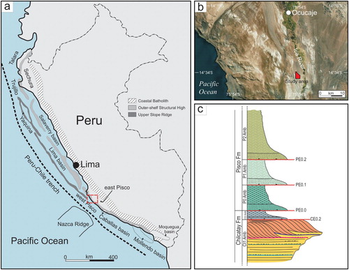 Figure 1. (a) Map of the major structural trends and basins of coastal Peru, redrawn and modified from CitationTravis, Gonzales, and Pardo (1976) and CitationThornburg and Kulm (1981). The red dashed rectangle outlines location of the area shown in detail in Figure 1(b); (b) close up of the red dashed inset box in Figure 1(a) showing the geographic location of the study area along the western side of the Ica River valley; (c) Schematic stratigraphic column with the main subdivisions and units (not to scale).
