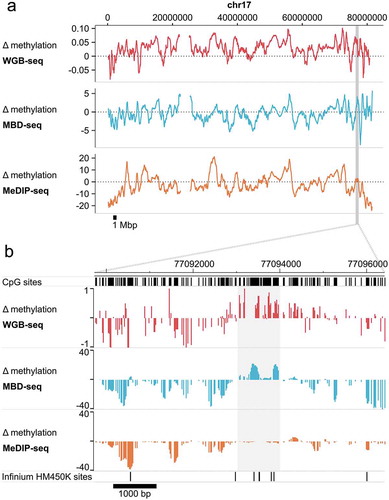 Figure 3. MBD-seq and WGB-seq provide comparable methylome profiles.Difference (Δ) in methylation between neurons and glia along chromosome 17. Methylation was assayed in sorted neurons and glia from a human brain sample by WGB-seq, MBD-seq, and MeDIP-seq. Positive values indicate higher methylation in neurons. (a) Chromosome-wide trace of neuron-glia differences in methylation along chr17. To facilitate visualization the 10 kb simple moving average of Δ methylation is plotted. Highlighted region indicates the location of the enlarged region displayed in the lower pane. (b) Enlarged region along chr17:77,090,000–77,096,500 (hg19) displaying focal Δ methylation between neurons-glia. Highlighted region indicates the location of cell-type-specific differential methylation that is detected in WGB-seq and MBD-seq, but not MeDIP-seq. Locations of Infinium HumanMethylation 450K sites are also shown for illustration.
