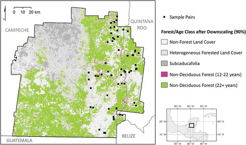 Figure 3. Forest age classes were derived from year 2000 and year 2010 land-cover maps in the study area, for all pixels of forest persistence and all pixels of change from secondary vegetation to forest.