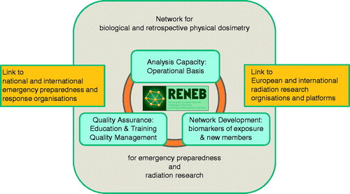 Figure 1. Activities and crosslinking of the RENEB network.
